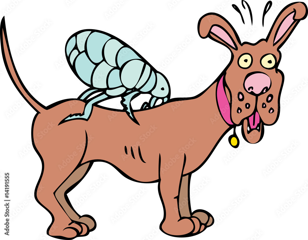 Flea Bite Flea Bite