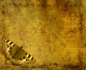 Fototapete Schmetterlinge im Grunge Grunge Hintergrund Vintage Textur  © frenta