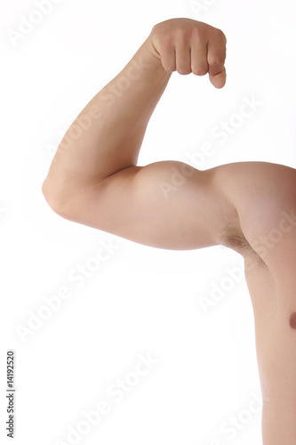 bicep muscle