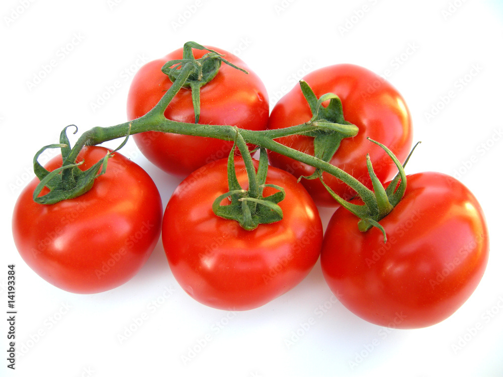 Strauchtomaten