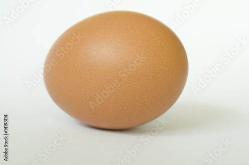 Brown egg with soft shadow