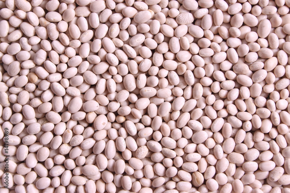 Fototapeta premium White kidney beans
