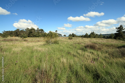 Garrigue dans l'Aude © arenysam