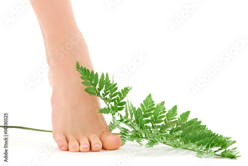 female foot with green fern leaf photo