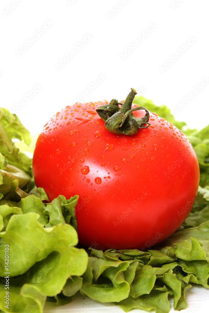 Fresh Red weet Tomatoes Fresh Red weet Tomatoes
