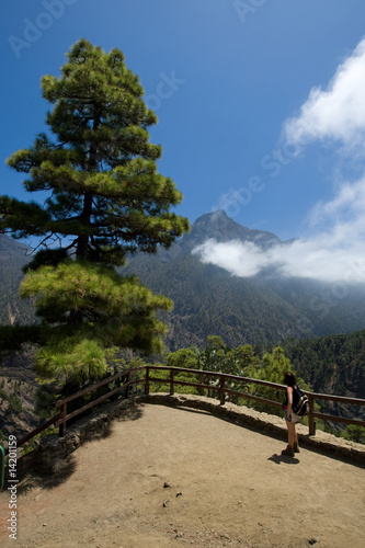 La Palma  Caldera de taburiente