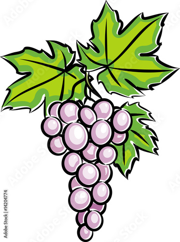 Grapes (Vector)