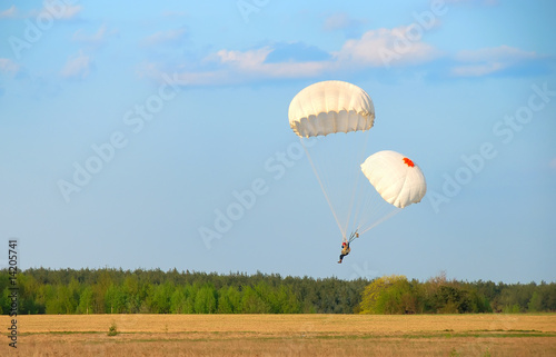 single parachute jumper landing with two canopies