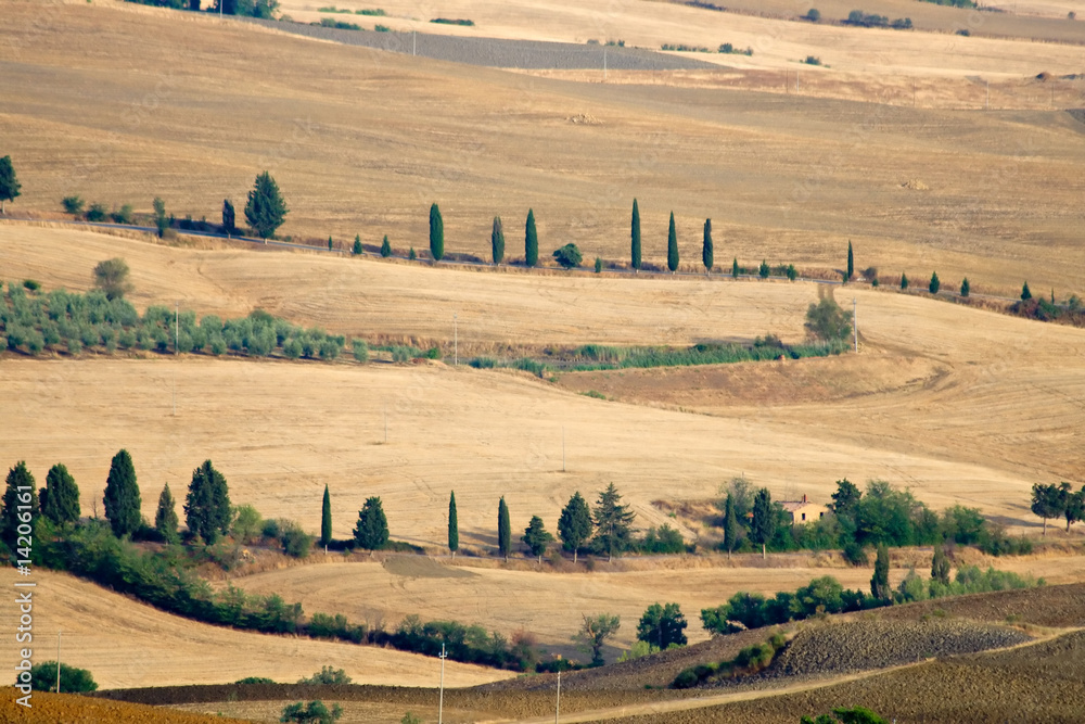 Fototapeta premium Beautiful Tuscany landscape in summer