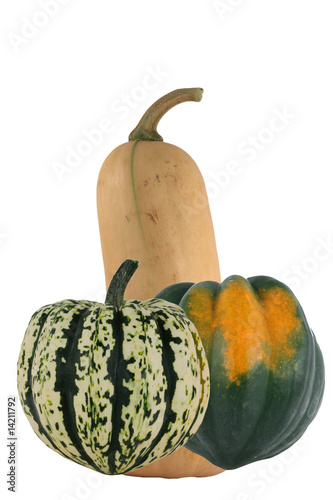Isolated butternut carnival acorn squash on white