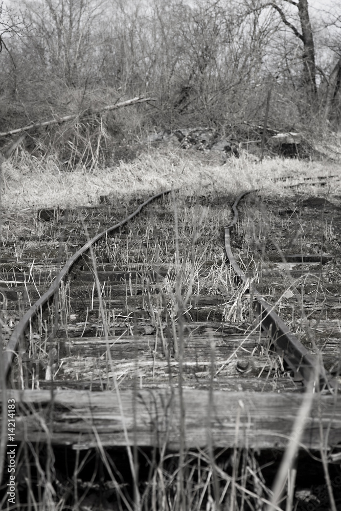 Fototapeta premium schienen im moor
