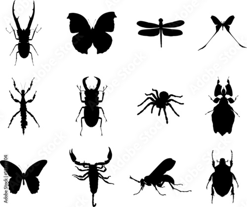 Set Animals