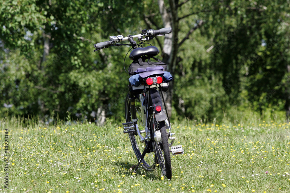 Naklejka premium fahrrad im grünen