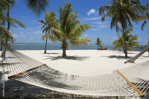 Fototapeta Naklejka Na Ścianę i Meble -  hammock