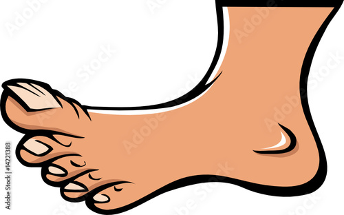 human foot