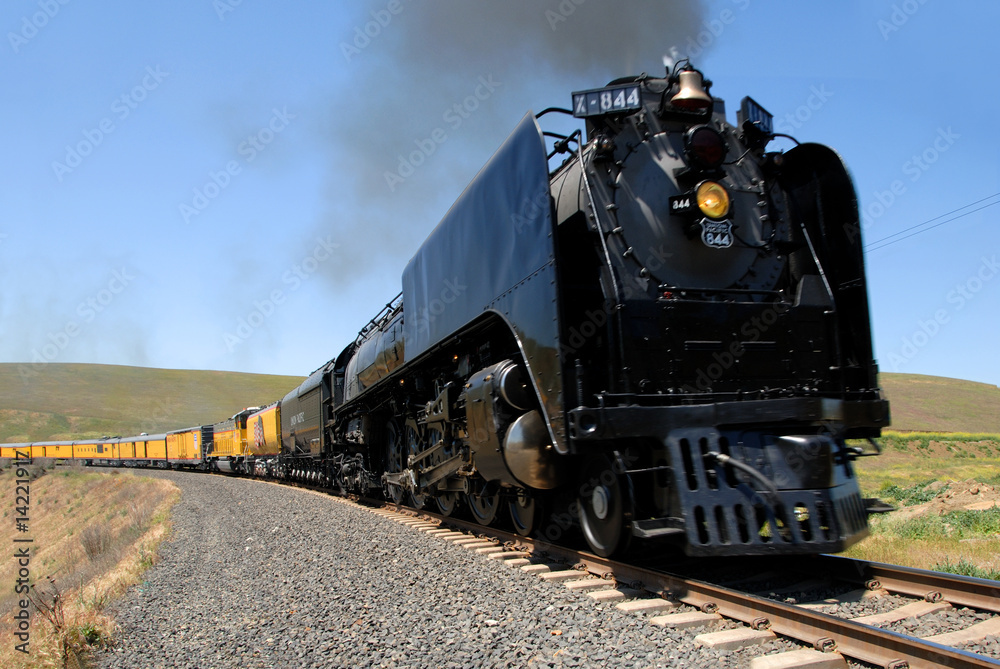 Naklejka premium Union Pacific 844, Live Steam Engine