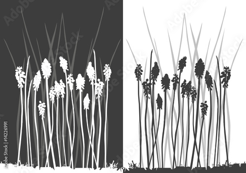Set of vector grass silhouettes backgrounds for design use