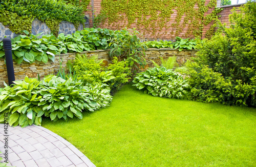 Fotografia Garden