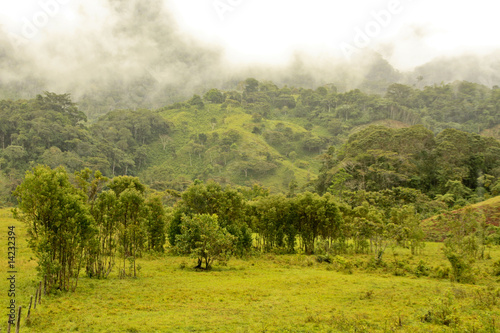 Regenwald in Südamerika © chris74