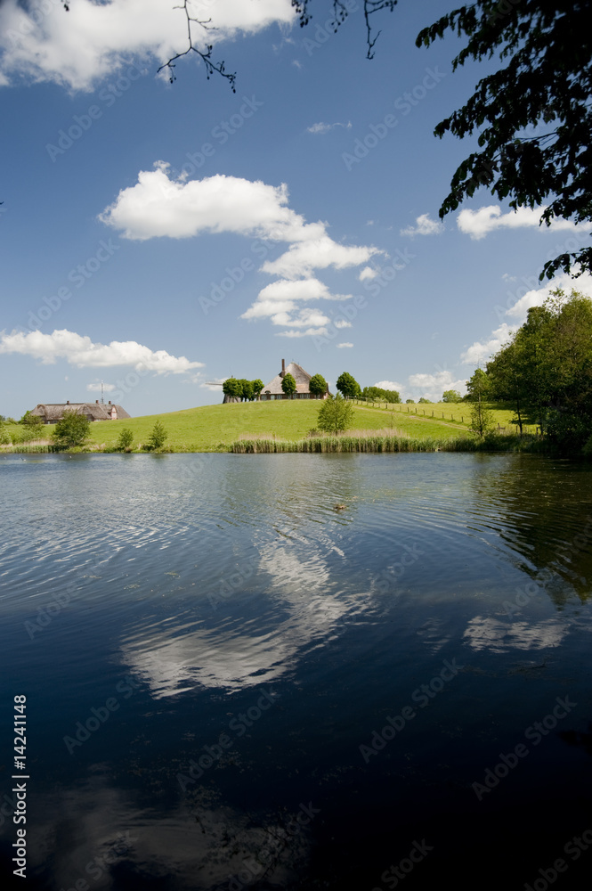 Fototapeta premium farm