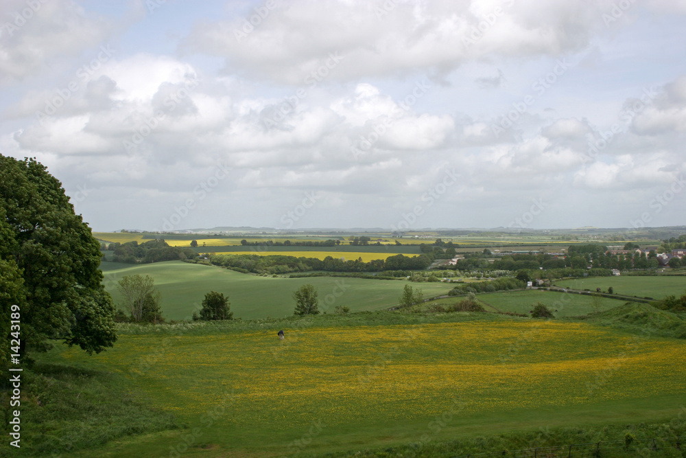 view of  English countryside