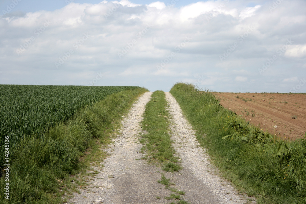 Feldweg