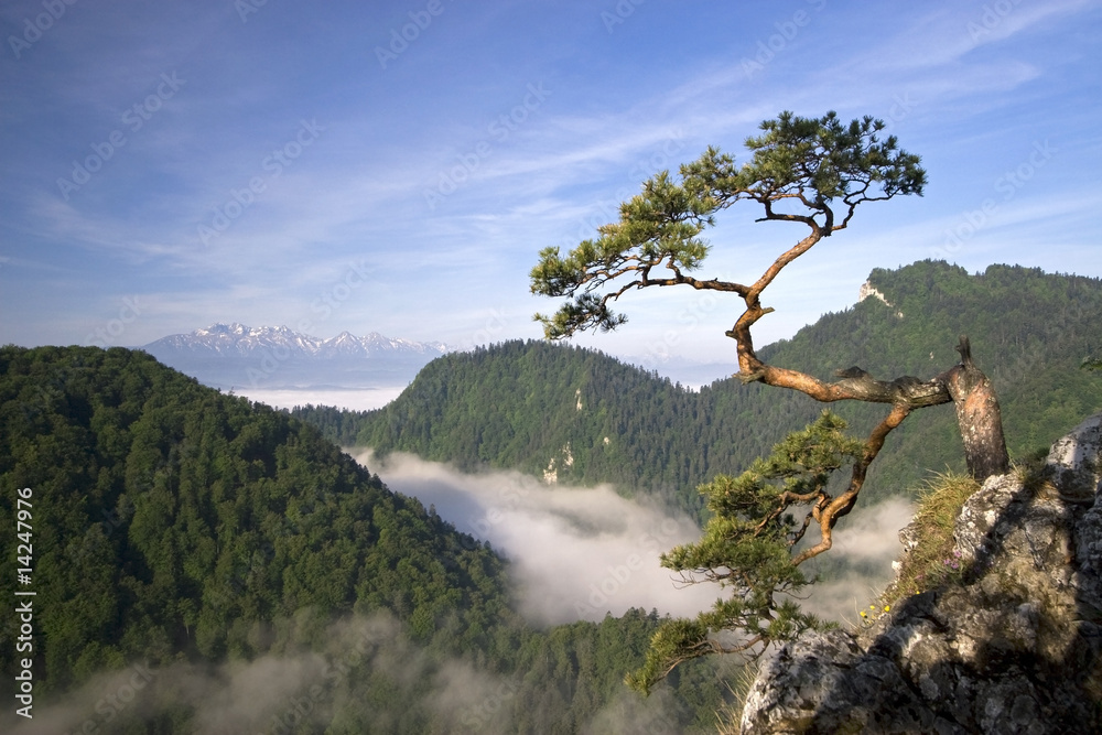 Fototapeta premium Sokolica Peak in Pieniny, Poland