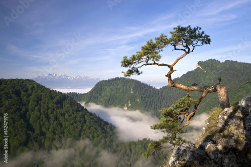 Sokolica Peak in Pieniny, Poland © tramper79