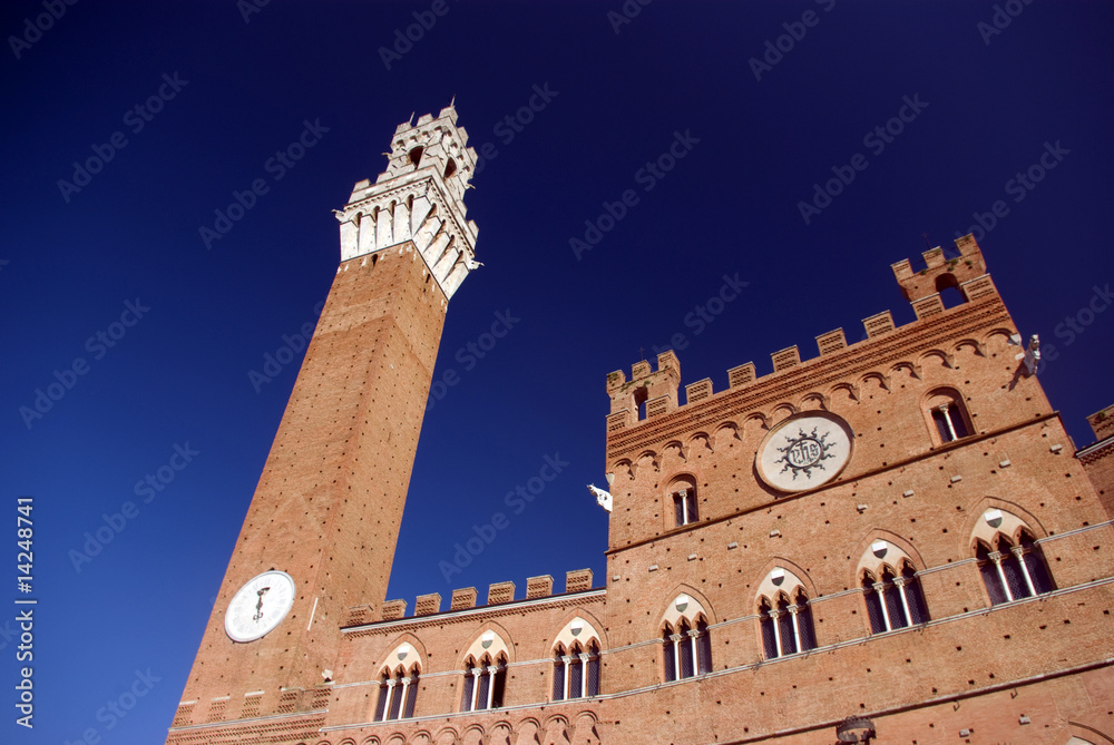 Fototapeta premium Siena, Palazzo Pubblico e Torre del Mangia 3