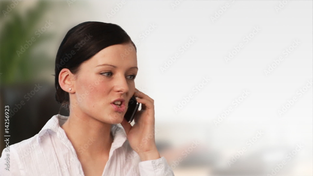 Beautiful businesswoman talking on a mobile phone Beautiful businesswoman talking on a mobile phone