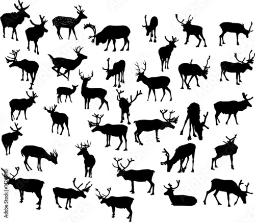 thirty four deer silhouettes