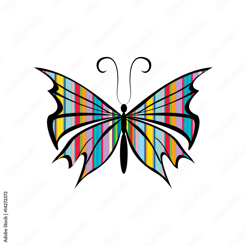 Fototapeta premium stripes butterfly
