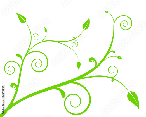floraler hintergrund