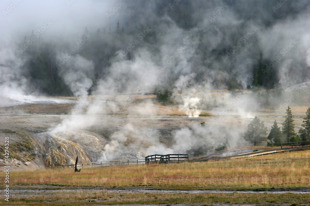 Obraz premium YELLOWSTONE PARK,WYOMING_USA