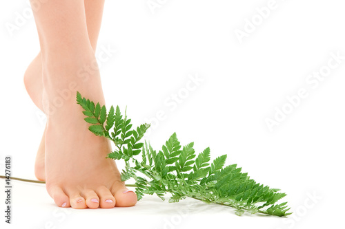 Schilderij op canvas female feet with green leaf