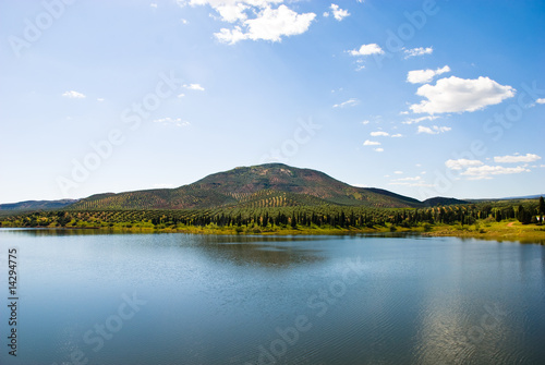 Lake in Andalusia  with olive tree hill