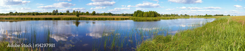 Summer rushy lake panorama