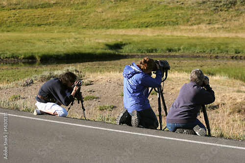 photographes à YELLOWSTONE PARK,WYOMING_USA photo