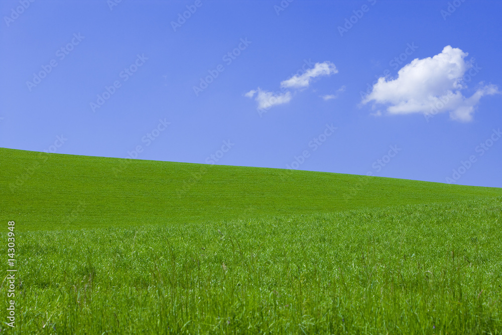 Fototapeta premium Wiese und Himmel