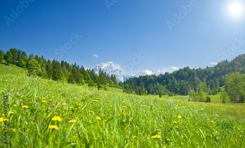 österreichisches Bergpanorama