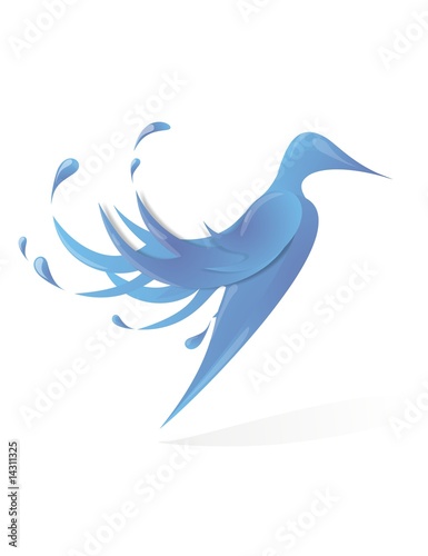 Bird of water in a white background. Illustration.