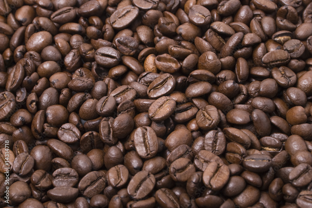 Coffee Coffee