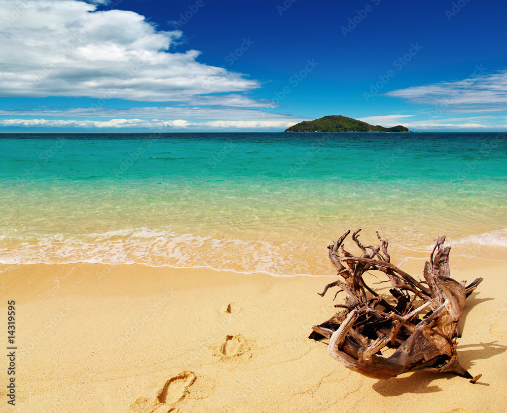 Obraz premium Tropical beach