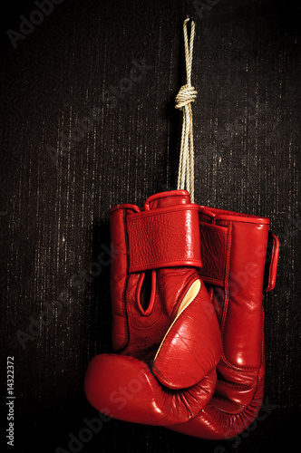 boxing-glove © ongap