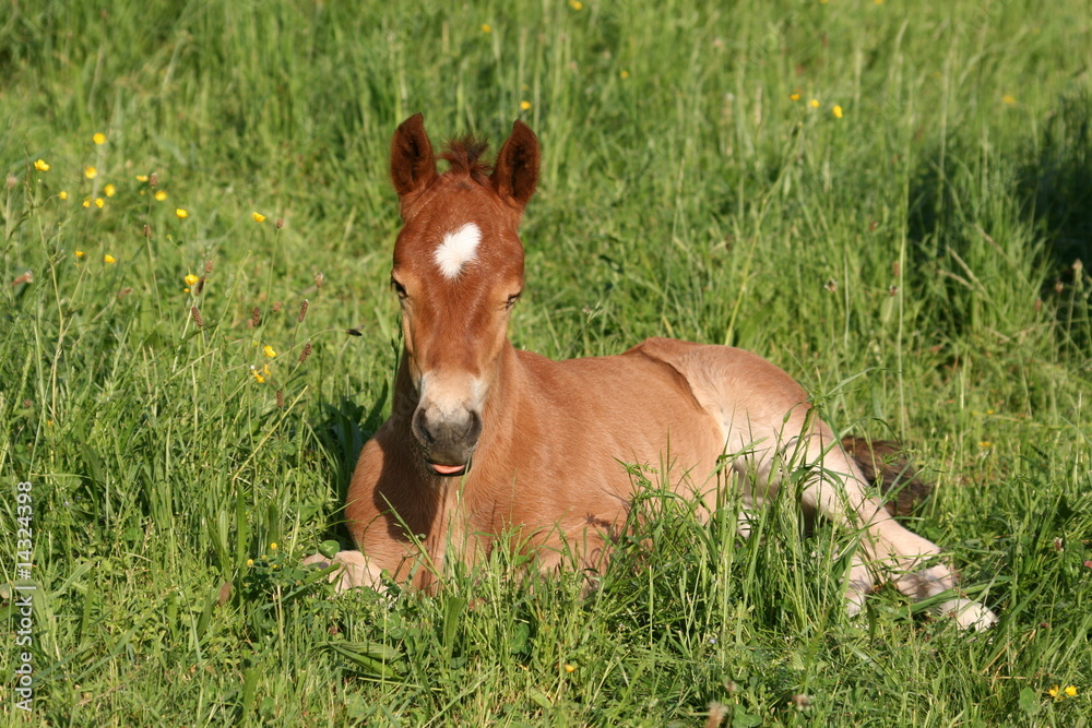 Repos au soleil