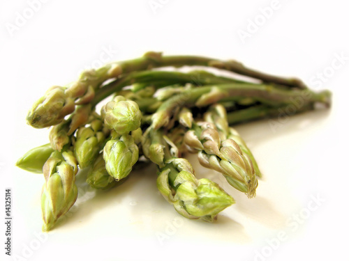 Isolated wild asparagus