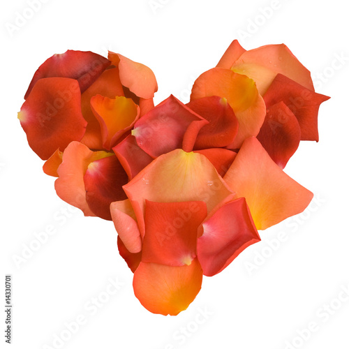 Heart made of rose 's petals photo