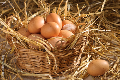 Basket Of Eggs