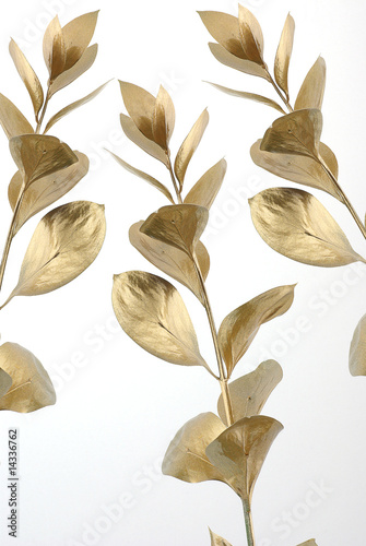 Gold branch decor photo