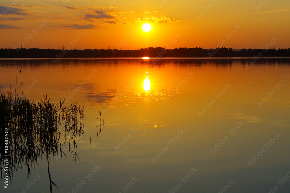 Fototapeta premium Horizon